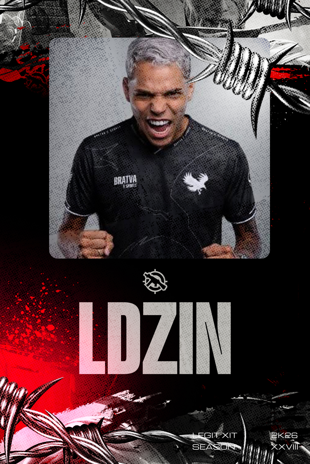 LDZIN